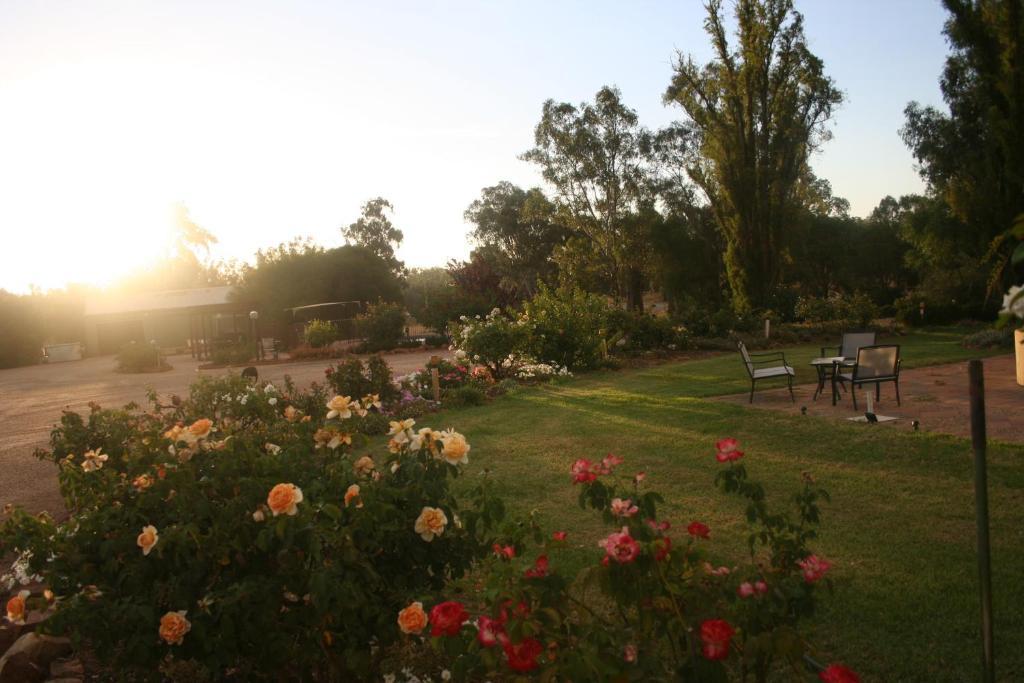 Newell Motor Inn Narrandera Εξωτερικό φωτογραφία